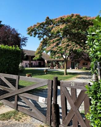 Casale ben ristrutturato+cascina+box cavalli e