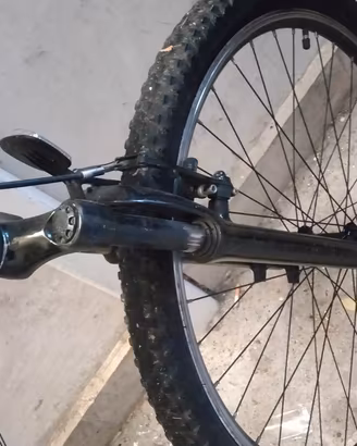 buongiorno questo bici buonissimo 