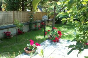 Appart.bilo, m.200/mare S.BENEDETTO DEL TRONTO