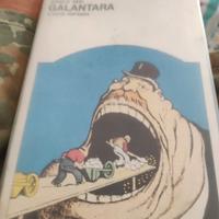 Galantara  Il morso dell'asino/Il mio cuore ti ...