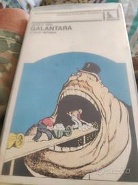 Galantara  Il morso dell'asino/Il mio cuore ti ...