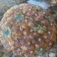 Plafoniera fiori di vetro di Murano