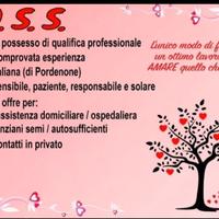 Assistenza anziani (semi auto sufficienti)