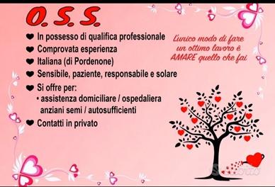 Assistenza anziani (semi auto sufficienti)