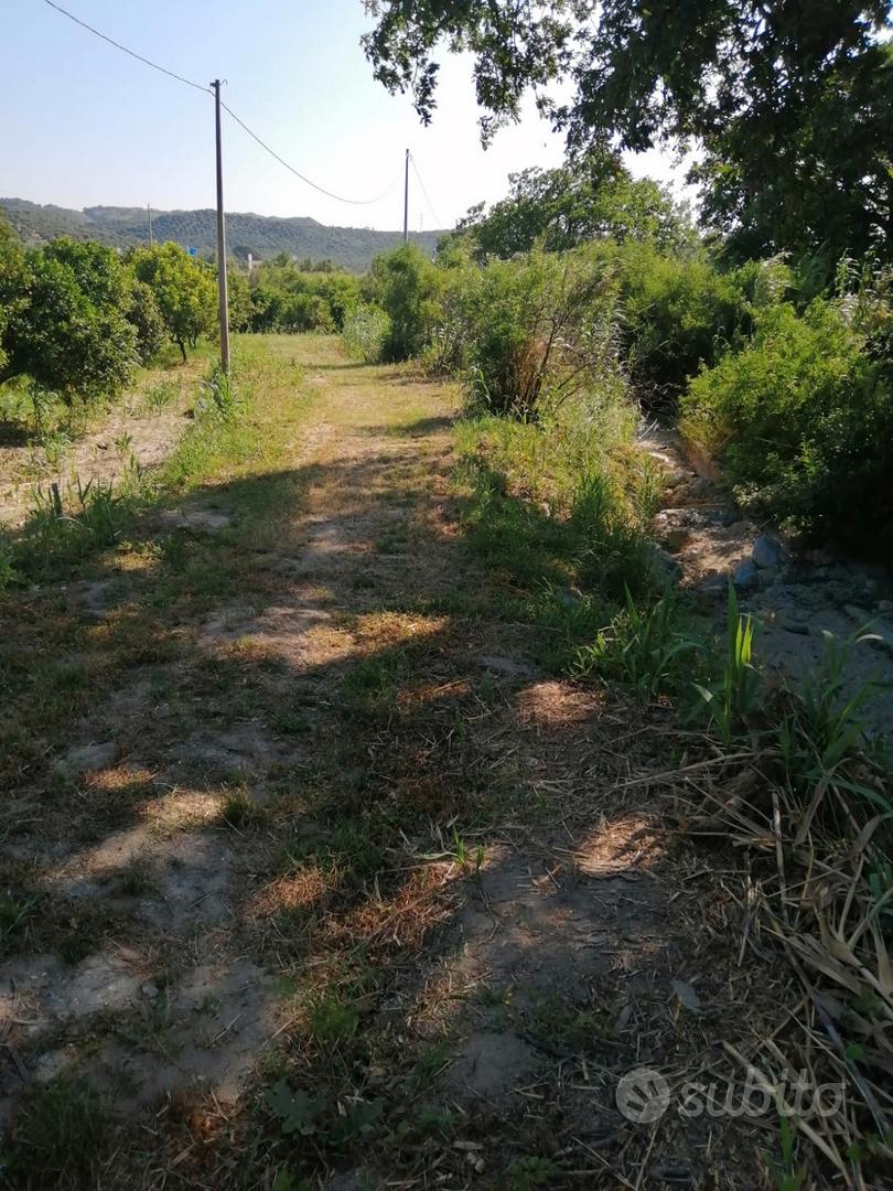 Terreno Agricolo Squillace Lido (CZ) - Vista 4