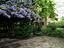 Immagine 16
