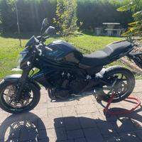 Kawasaki ER-6N
