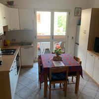 Bosa marina v venezia lib giug lug agosto