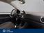 Immagine 6