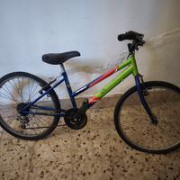 bicicletta