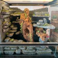 Sfondo per Terrario 40x40x30