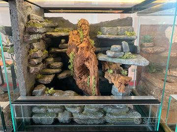 Sfondo per Terrario 40x40x30