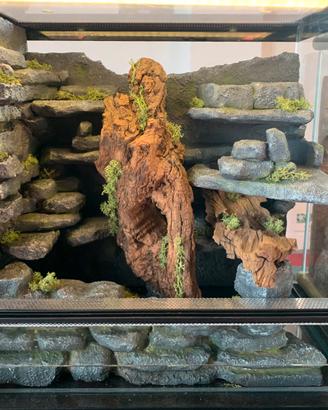 Sfondo per Terrario 40x40x30