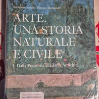 libro storia dell'arte