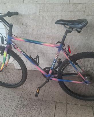 MOUNTAIN BIKE