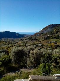 casolare rustico più terreno 