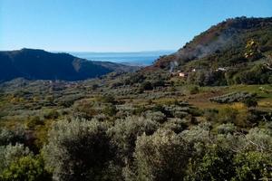 casolare rustico più terreno 