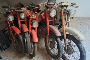 Ricambi per Motom 48 