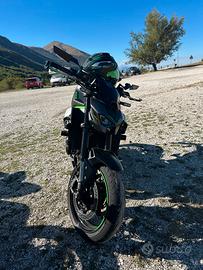 Z900 2025