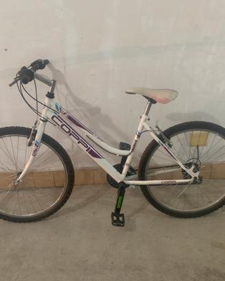 Bicicletta