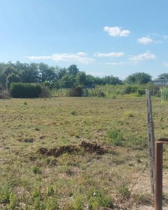 TERRENO 2.400MQ Uso Agricolo FL350