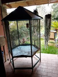 grande voliera riscaldata con rete anti intrusione