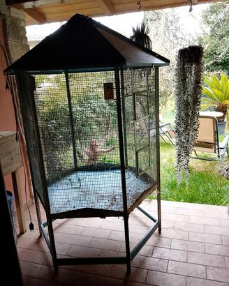 grande voliera riscaldata con rete anti intrusione