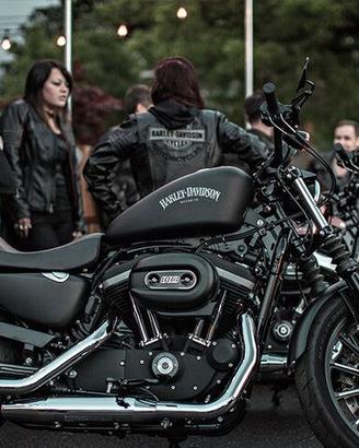 Harley-Davidson Iron 883 (2015)