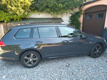 golf Vii variant tgi
