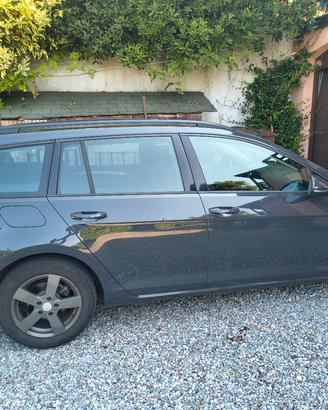 golf Vii variant tgi