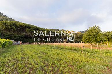 SAN LEONARDO – Terreno edificabile