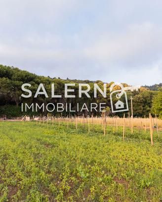 SAN LEONARDO – Terreno edificabile