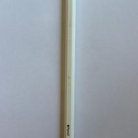 Penna apple pencil 2^gen