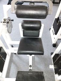 Lower back rom Technogym