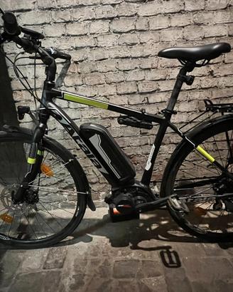 Atala B-Tour AM80 2019