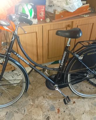 bici da passeggio 