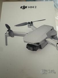 Dji mini due