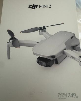 Dji mini due