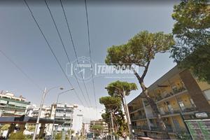 4 VANI + ACC. - IN PARCO CUSTODITO