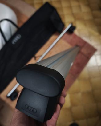 barre tetto audi A6 originali ideale per sci