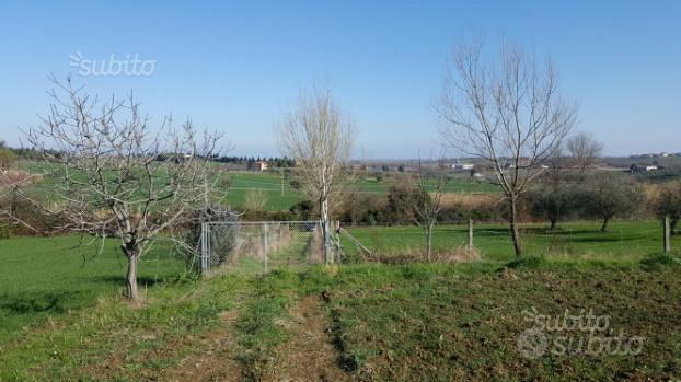 Terreno 10499 metri coriano rimini(loc. pedrolara) - Vista 4