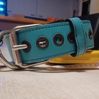 collare cane, alto 5 cm, vestibilità da 43 a 60 cm