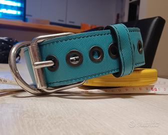 collare cane, alto 5 cm, vestibilità da 43 a 60 cm