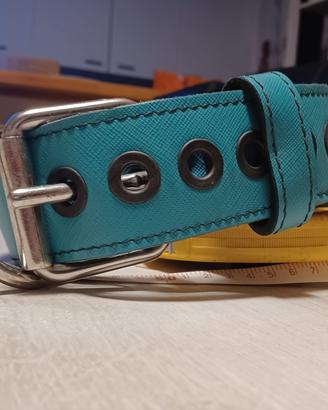 collare cane, alto 5 cm, vestibilità da 43 a 60 cm