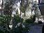 Immagine 28