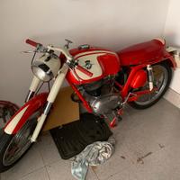 MV Agusta 150 rapido Sport anni 60