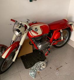 MV Agusta 150 rapido Sport anni 60 Moto e Scooter In vendita a