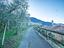 Immagine 12