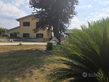 VILLA SINGOLA A VELLETRI