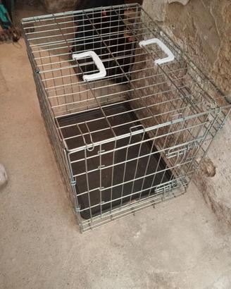 Kennel - gabbia cane e gatto e mini ippopotamo
